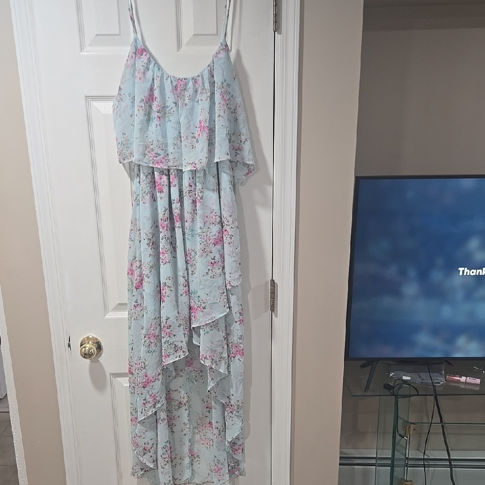 Disney Blue and Pink Floral High Low Dress